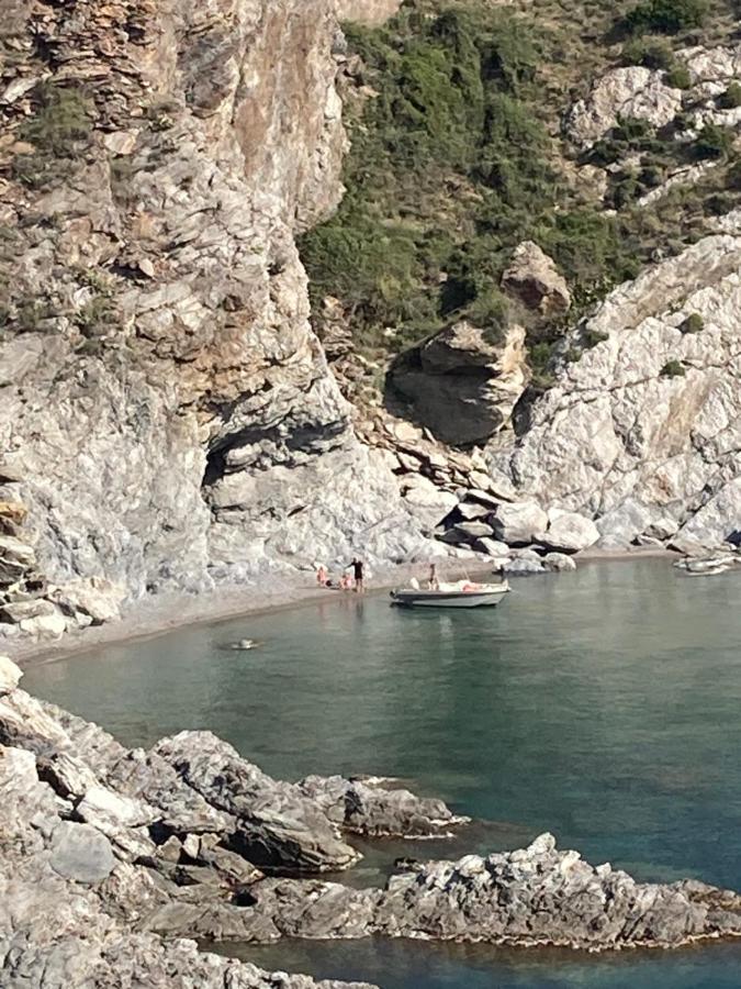 Villelongue-de-la-Salanque Mas De La Riviereヴィラ エクステリア 写真
