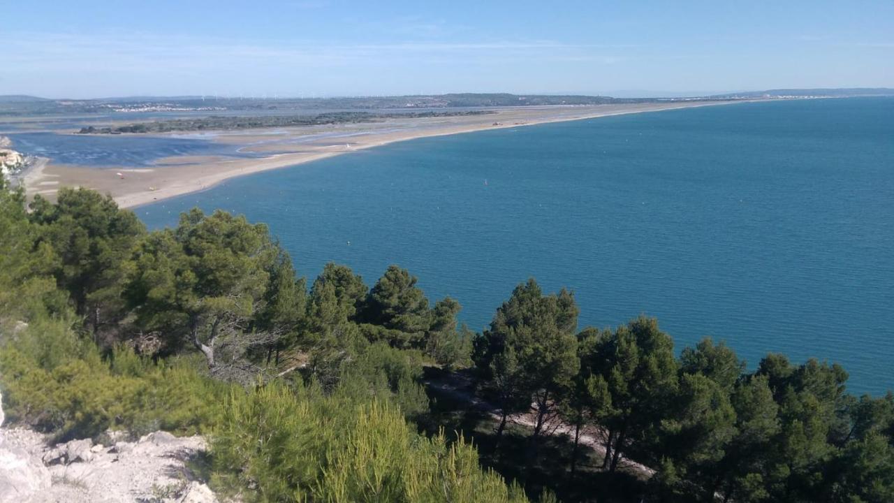 Villelongue-de-la-Salanque Mas De La Riviereヴィラ エクステリア 写真
